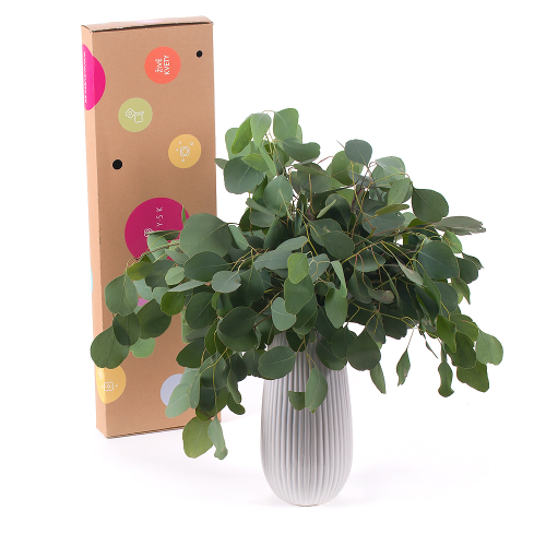 DIY kytica - Eukalyptus Populus do vázy