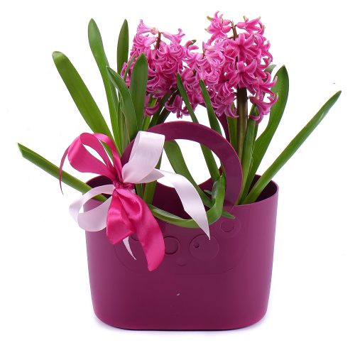 Darčeková plastová taška hyacinty