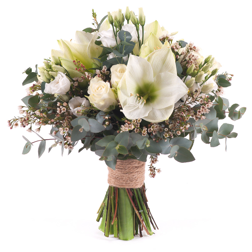 Perla biely amarylis a ruže