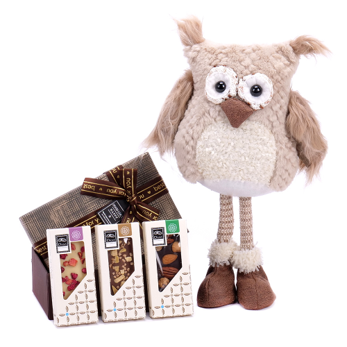 Darčekový set sova s čokoládou