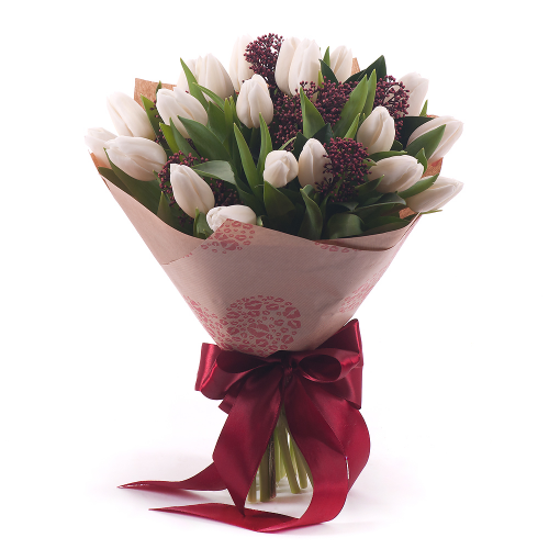 Sweet biele tulipány skimmia