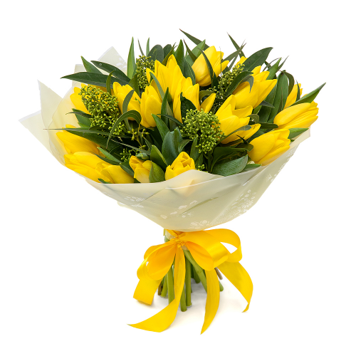 Sweet žlté tulipány skimmia