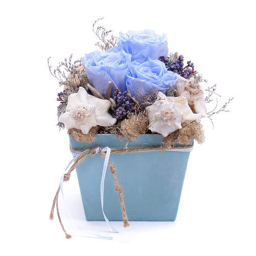 Irigo modrý flower box a In eterno  modré ruže mušle
