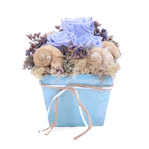 Irigo modrý flower box a In eterno  modré ruže mušle