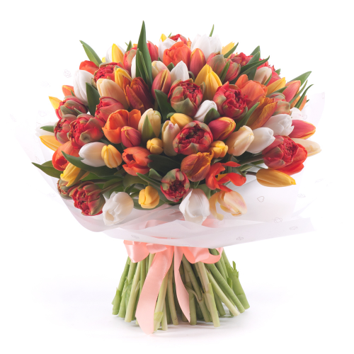 Sweet oranžové a biele tulipány