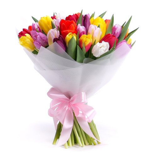 Sweet farebné tulipány pure