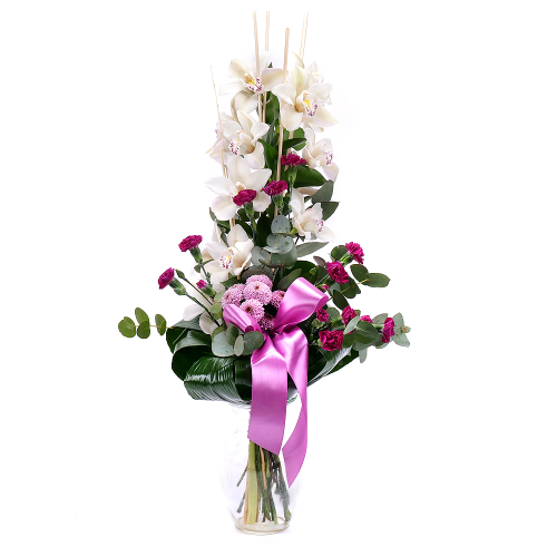 Orchidea biela na vysoko