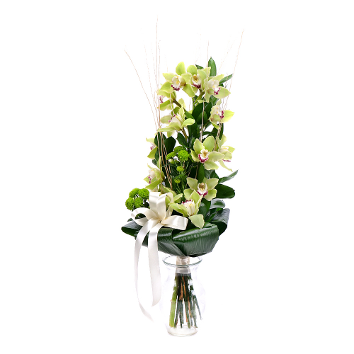 Orchidea zelená na vysoko