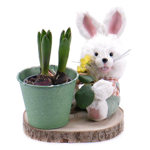 Darčekový set zajačik a hyacint