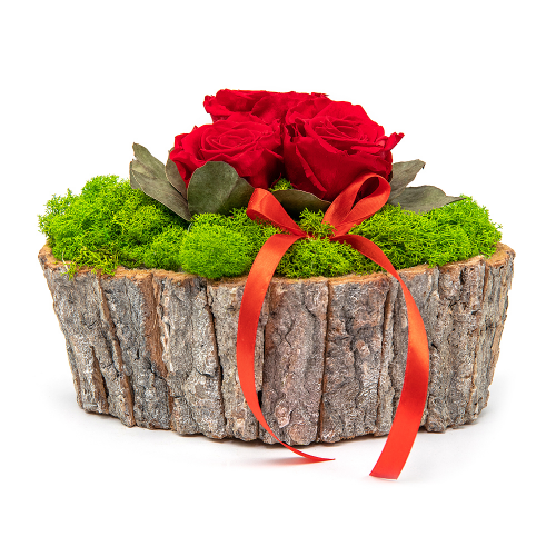 In eterno drevený box tri červené ruže mach