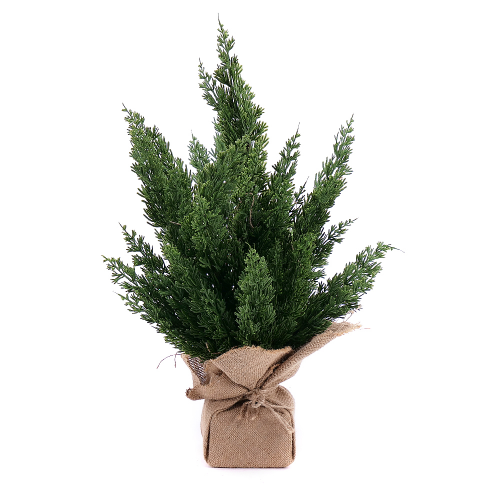 Umelá thuja v jutovom obale