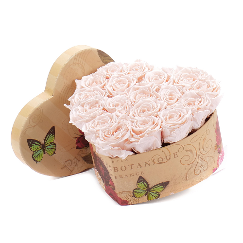 In eterno vintage srdce "L" 18 ruží almond cream