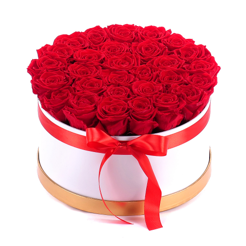 In eterno biely okrúhly box "XXL" 25 červených ruží