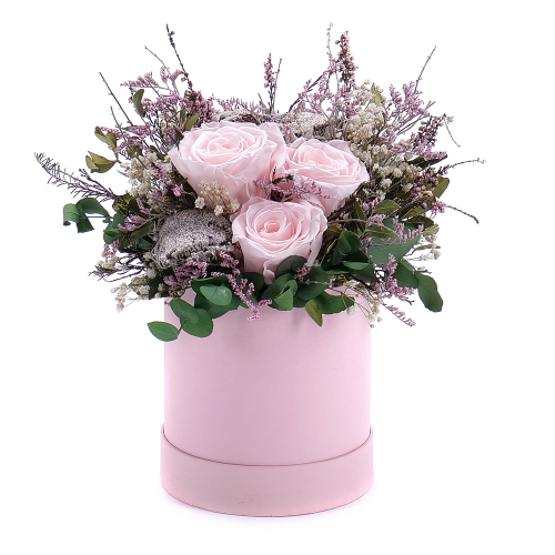 In eterno ružový okrúhly box ružové ruže a gypsophila