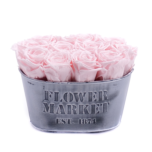 In eterno plechový box ovál 12 ruží pink champagne