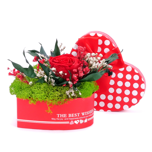 In eterno červené srdce "S" červená ruža