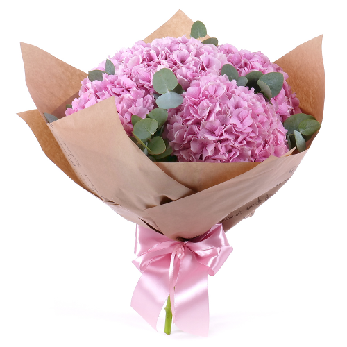 Sweet ružové hortenzie