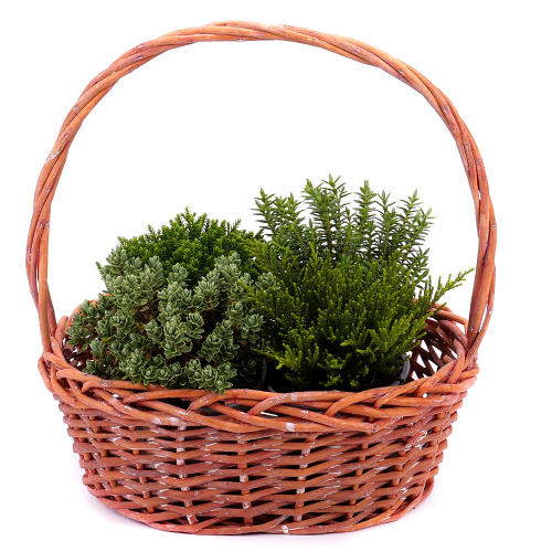 Hebe v prútenom košíku