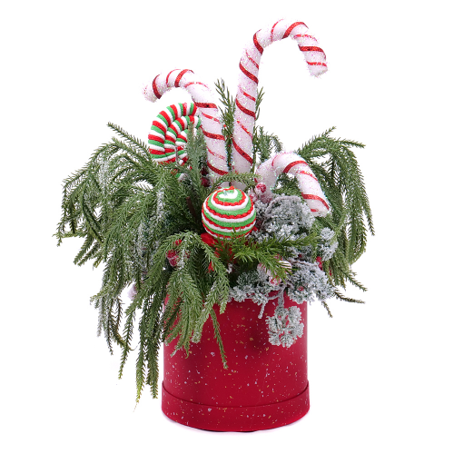 Irigo vianočný aranžmán v červenom boxe