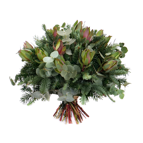 Nature Kytica eukalyptus čačina a leucadendron