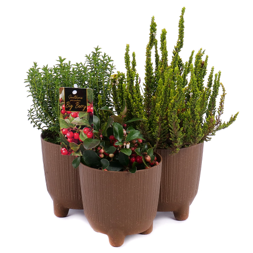 Jesenná dekorácia 10