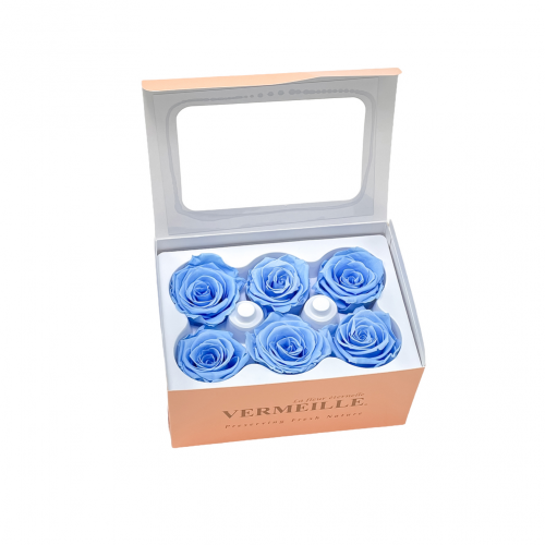 In eterno ruža Tiffany cinderella blue