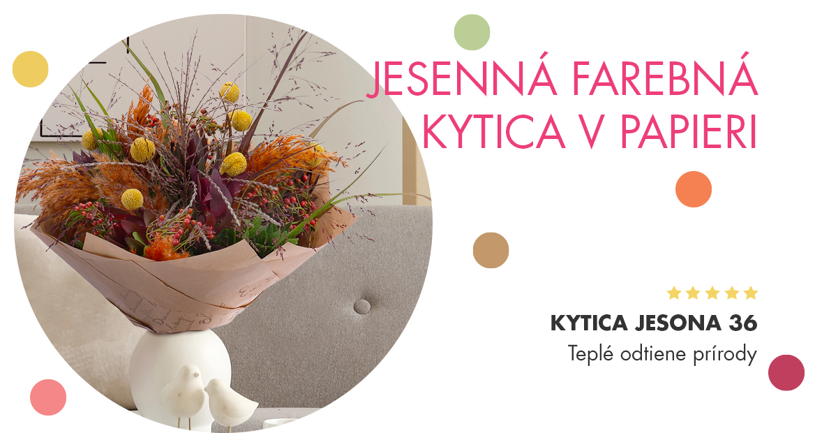 Kytica Jesona 36