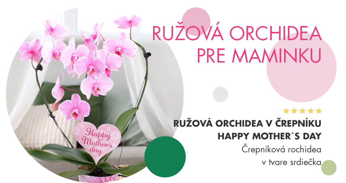 Ružová orchidea v črepníku Happy Mother´s day