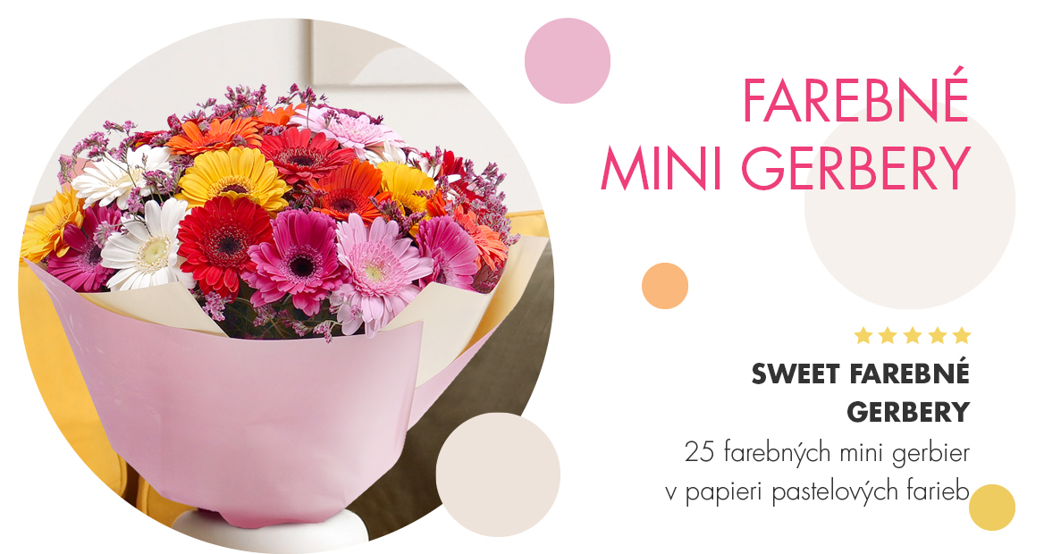 Sweet farebné gerbery