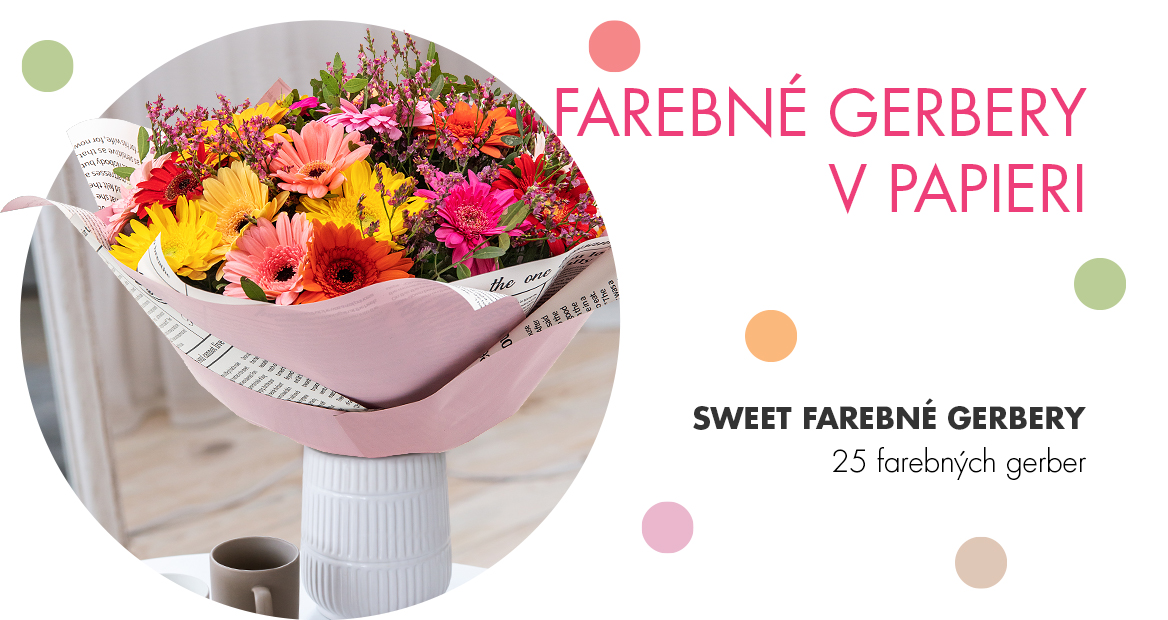 Sweet farebné gerbery