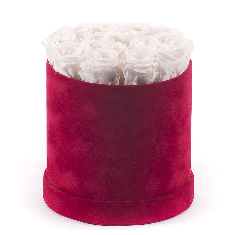 In eterno červený zamatový okrúhly box krémové ruže