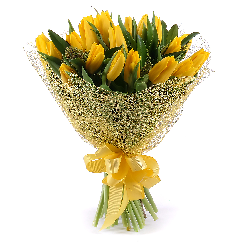 Sweet žlté tulipány skimmia