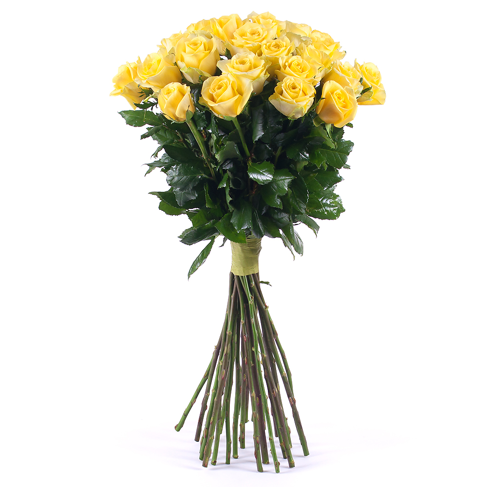 E-shop Amore žlté ruže