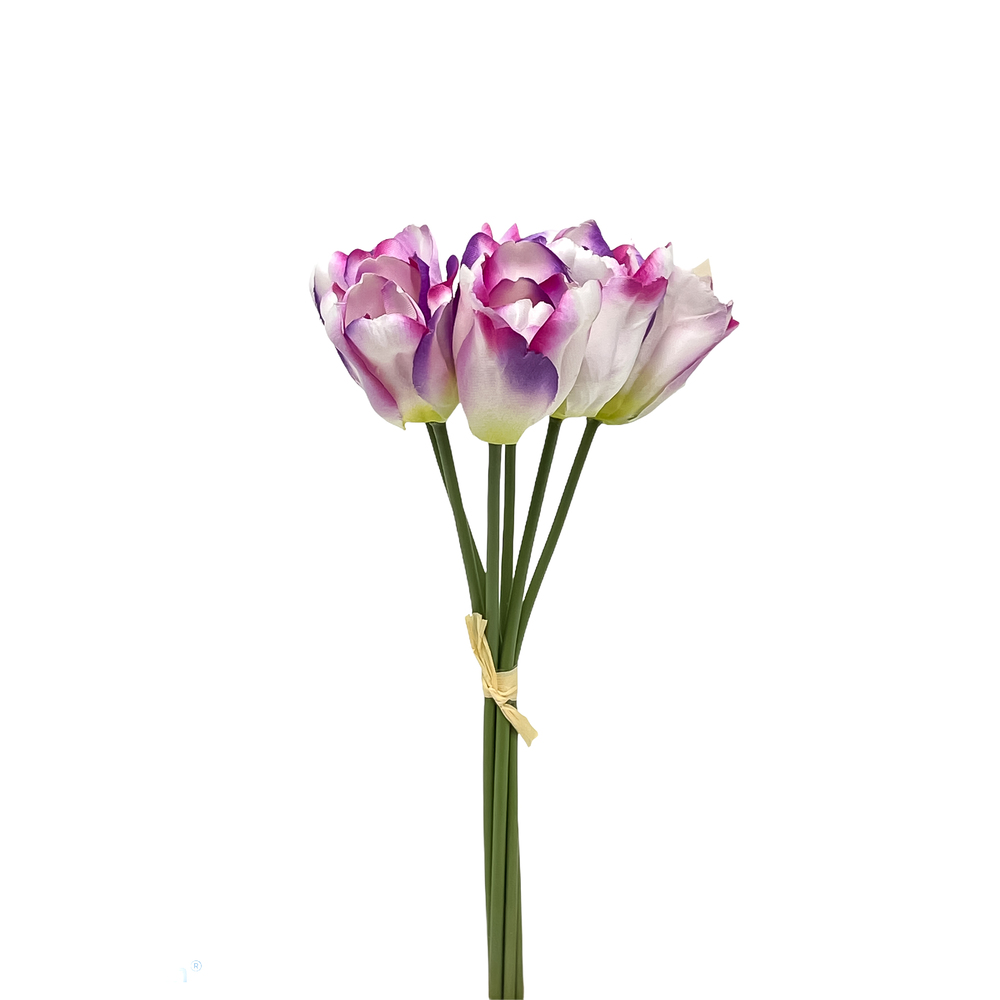 Kytica um. tulipán zväzok x6