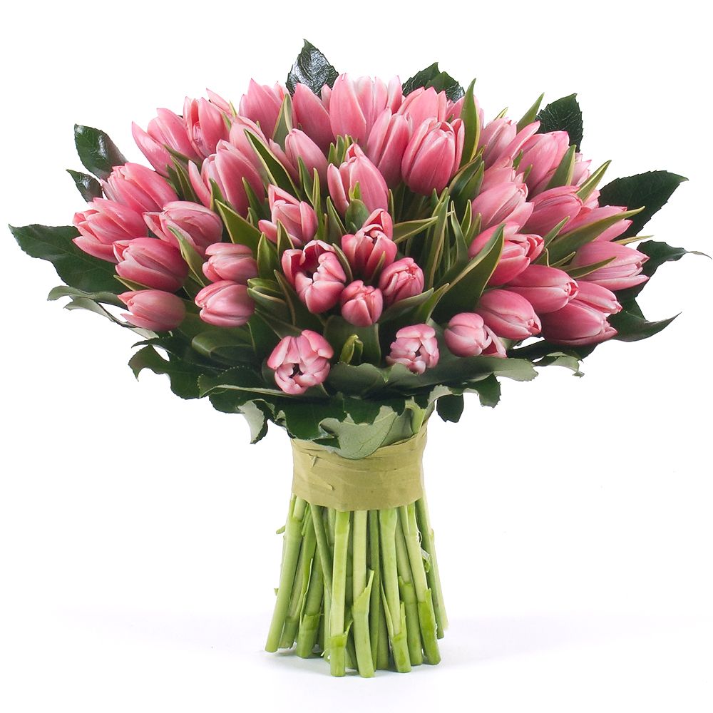 Perla ružové tulipány