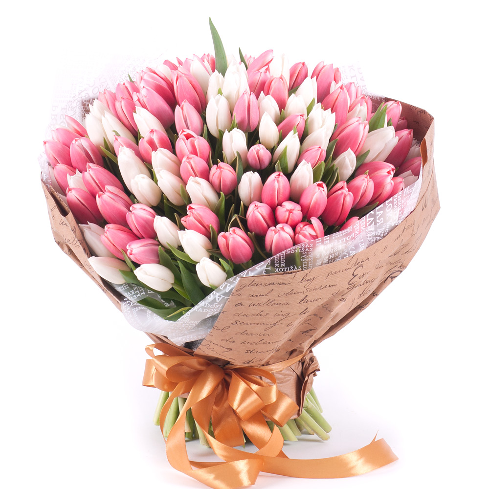 Sweet biele a ružové tulipány