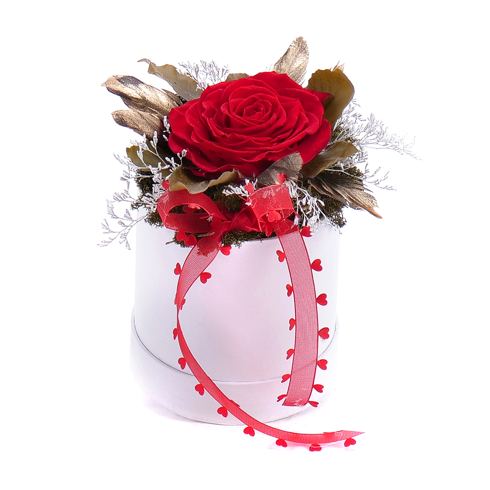 E-shop In eterno biely okrúhly box červená ruža Magna