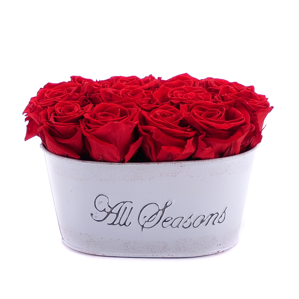 In eterno plechový box ovál 12 červených ruží
