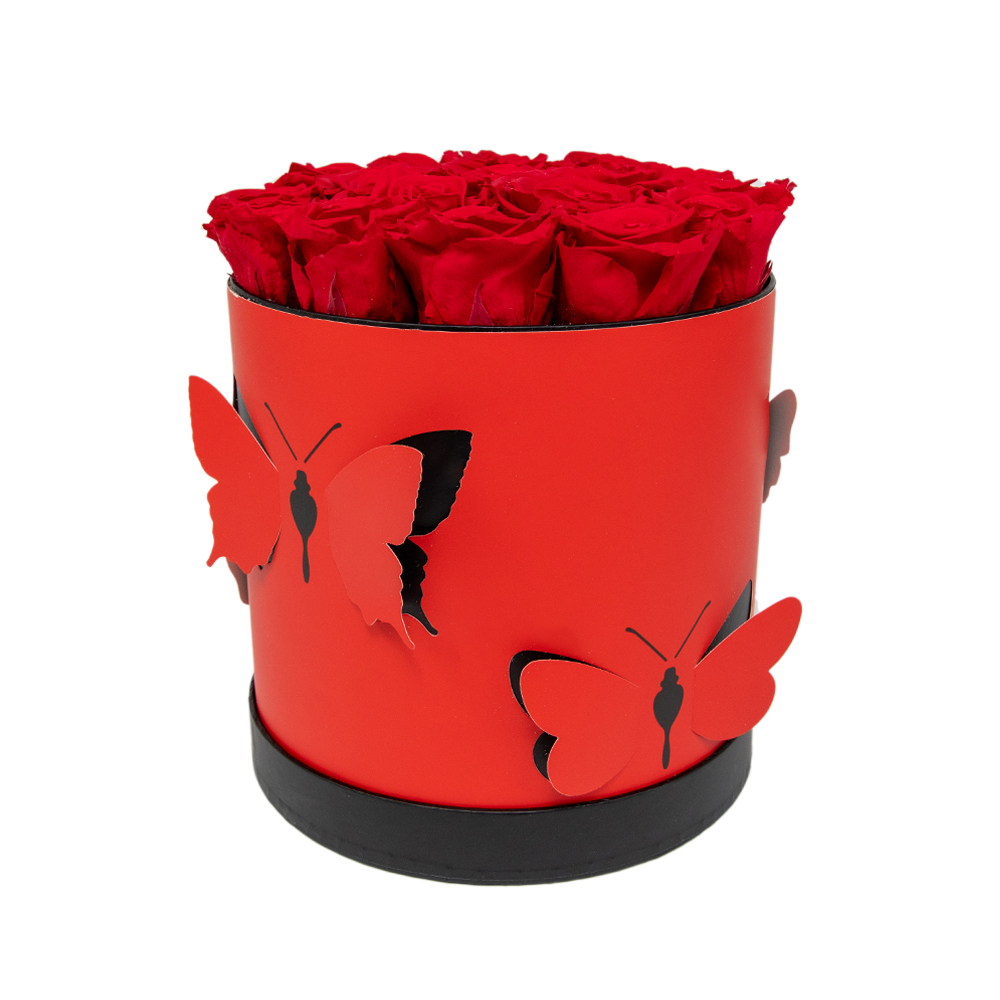 In eterno červený okrúhly box motýle "M" 18 červených ruží