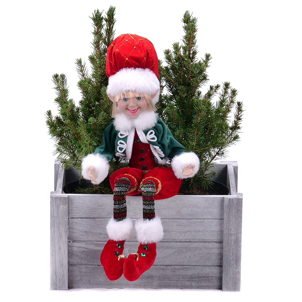 Darčekový set živé stromčeky a vianočná dekorácia