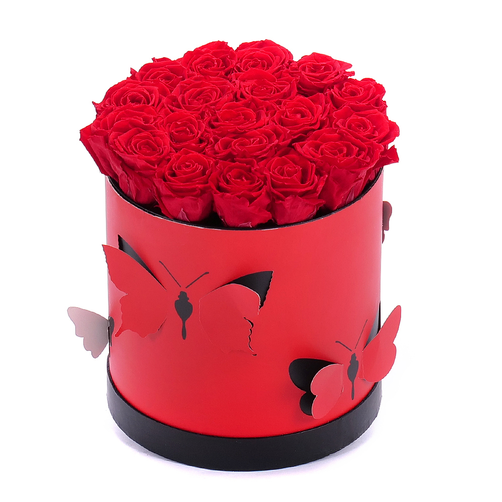 E-shop In eterno červený okrúhly box motýle "L" 19 červených ruží